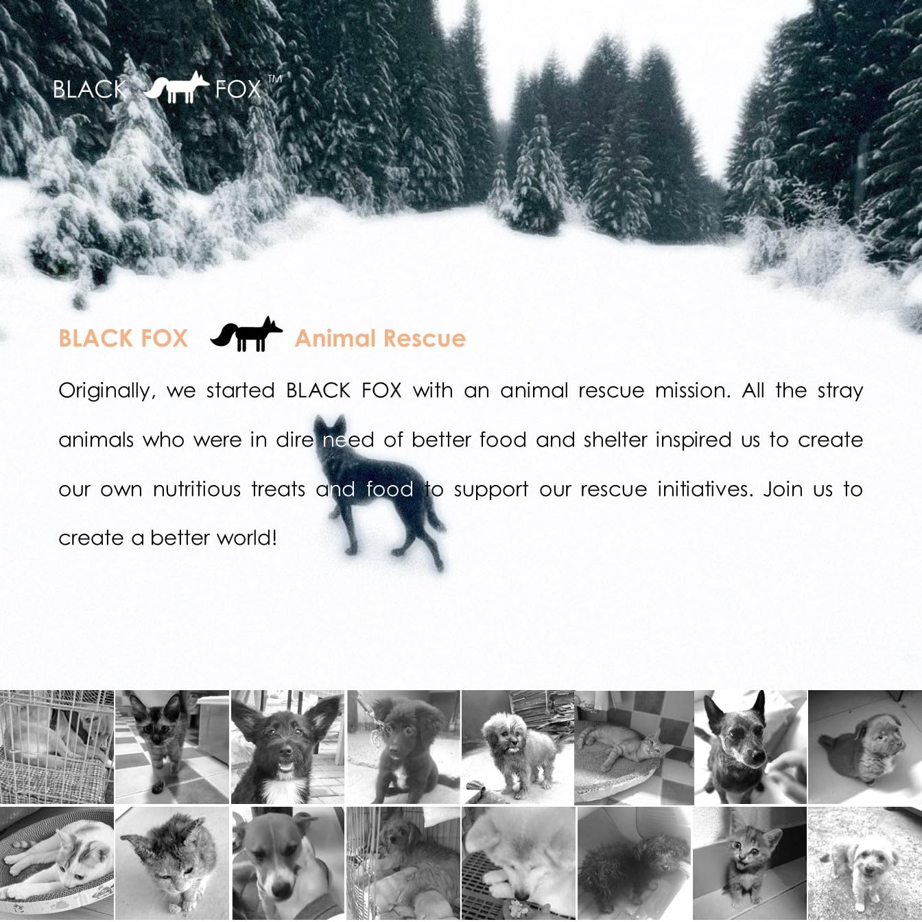 BLACK FOX freeze-drying preserves nutrients and texture without shrinking.
