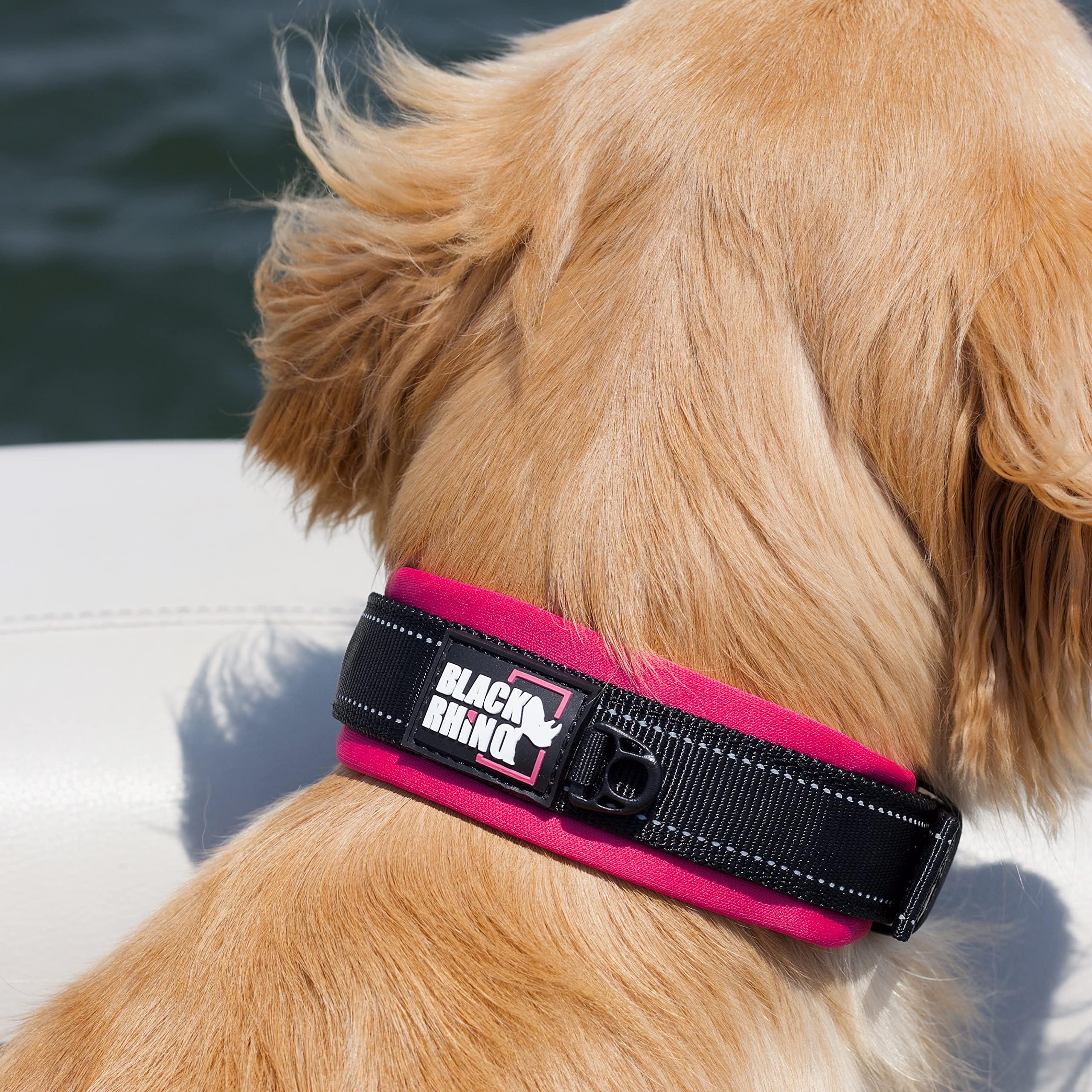 Black Rhino Comfort Collar reflective stitching improves visibility in low light.