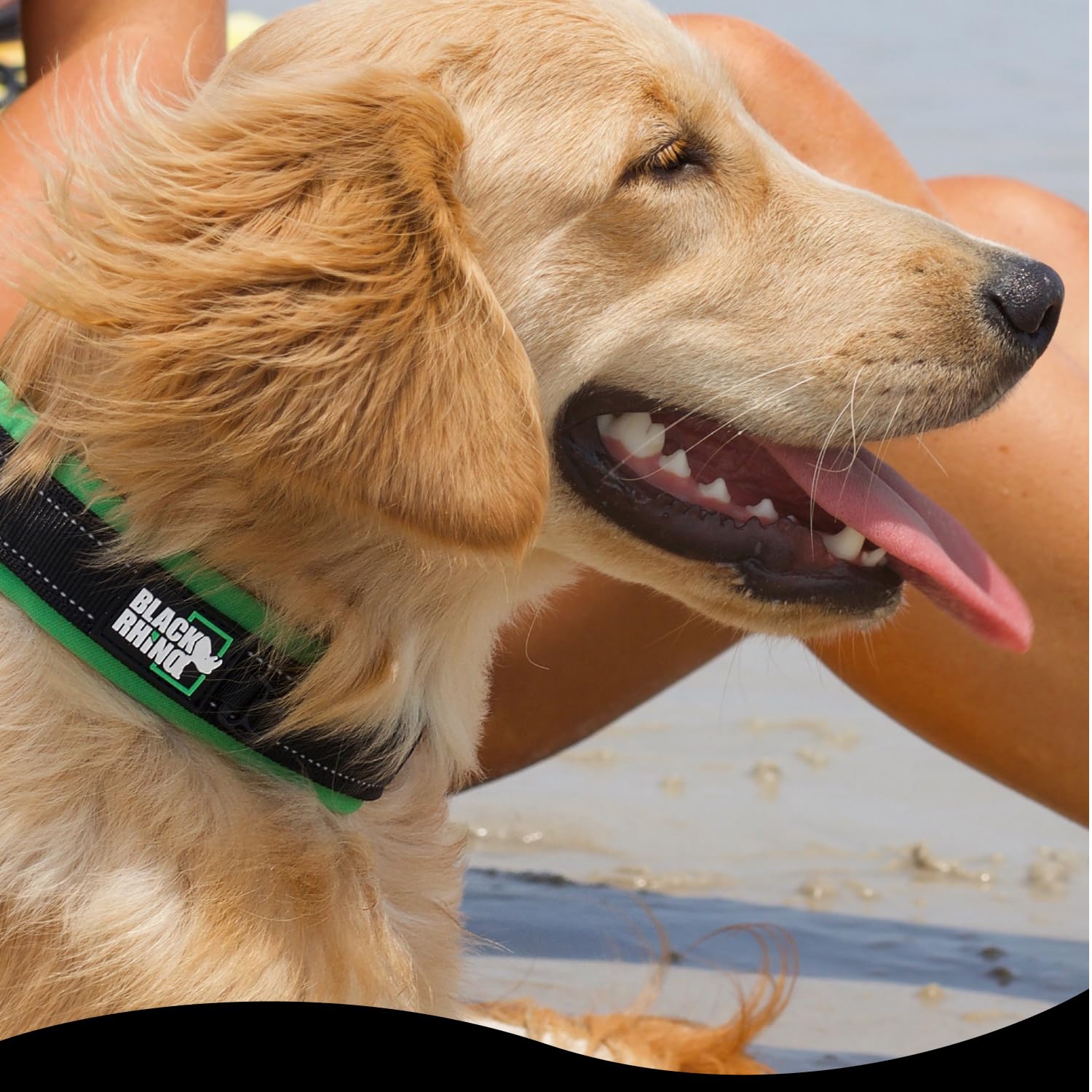 Black Rhino dog collar heavy-duty hardware for energetic dogs