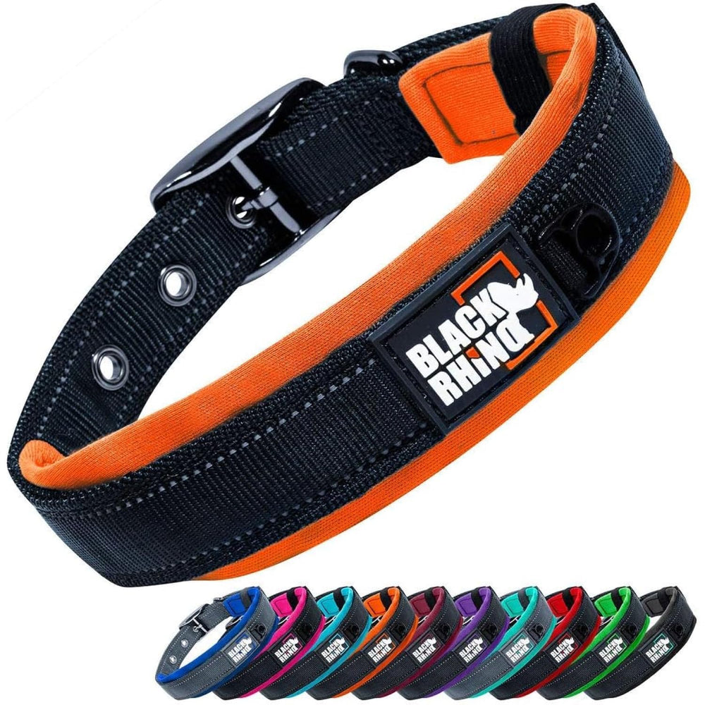 Black Rhino large dog collar with adjustable strap for a secure fit during play.