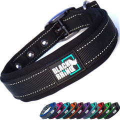 Black Rhino dog collar with adjustable fit for medium dogs during daily walks.