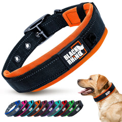 Black Rhino medium orange-front-view dog collar with reflective stitching for safety.
