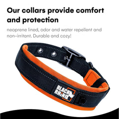 Black Rhino collar features reflective stitching for safer dawn walks.