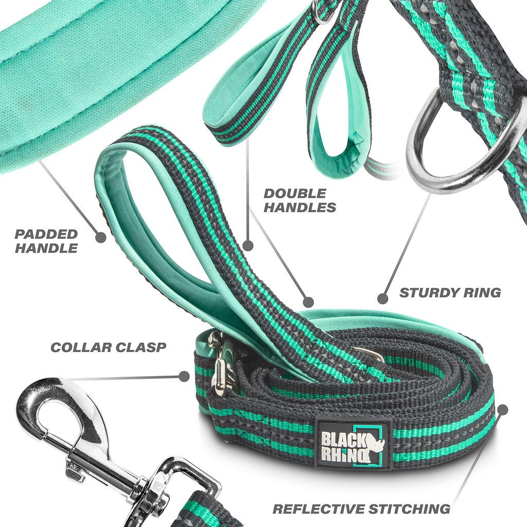 Black Rhino double-handle padded leash highlights comfortable grip during long strolls