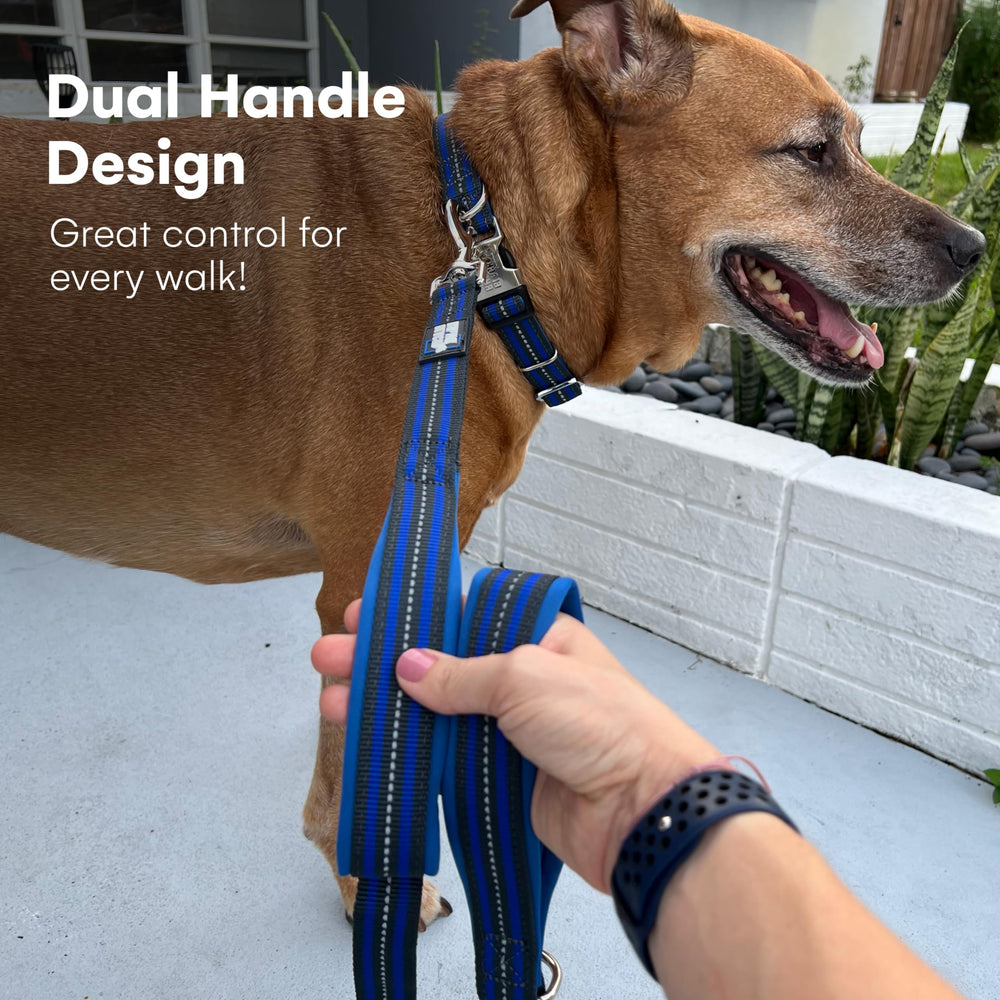 Black Rhino double-handle design supports command during training sessions.