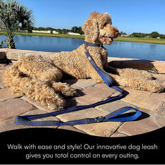 Black Rhino leash at night with reflective strip for safer evening strolls.