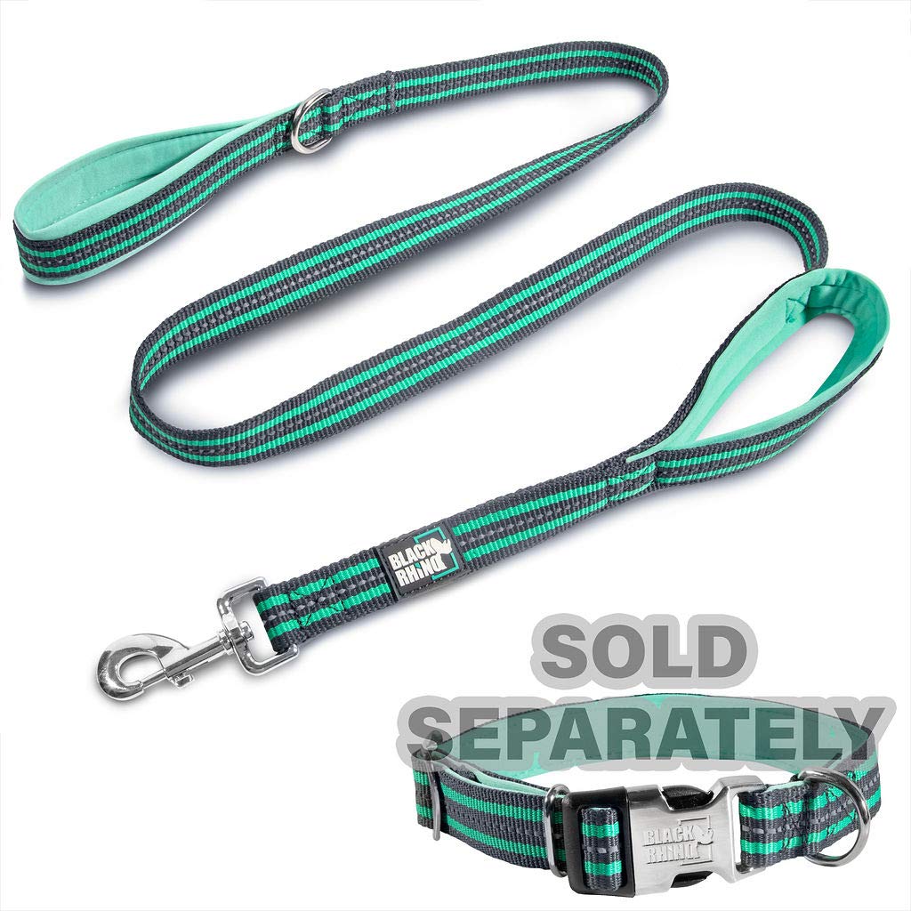 Black Rhino medium-to-large dog leash supports strong dogs with reliable control