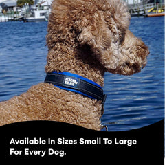 Black Rhino Reflective Dog Collar large blue-grey weatherproof design in rain and mud