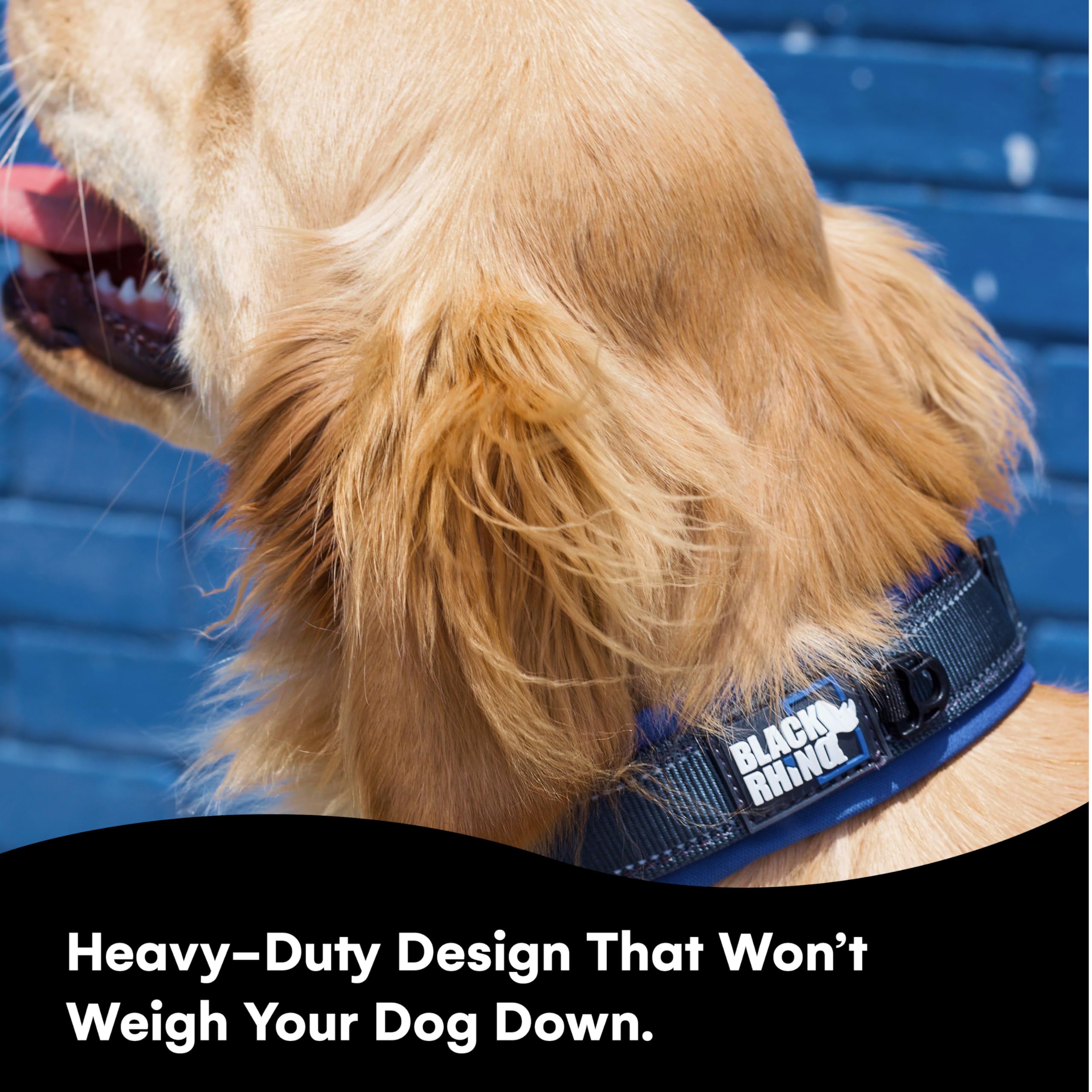 Black Rhino Reflective Dog Collar large blue-grey on active dog during water play