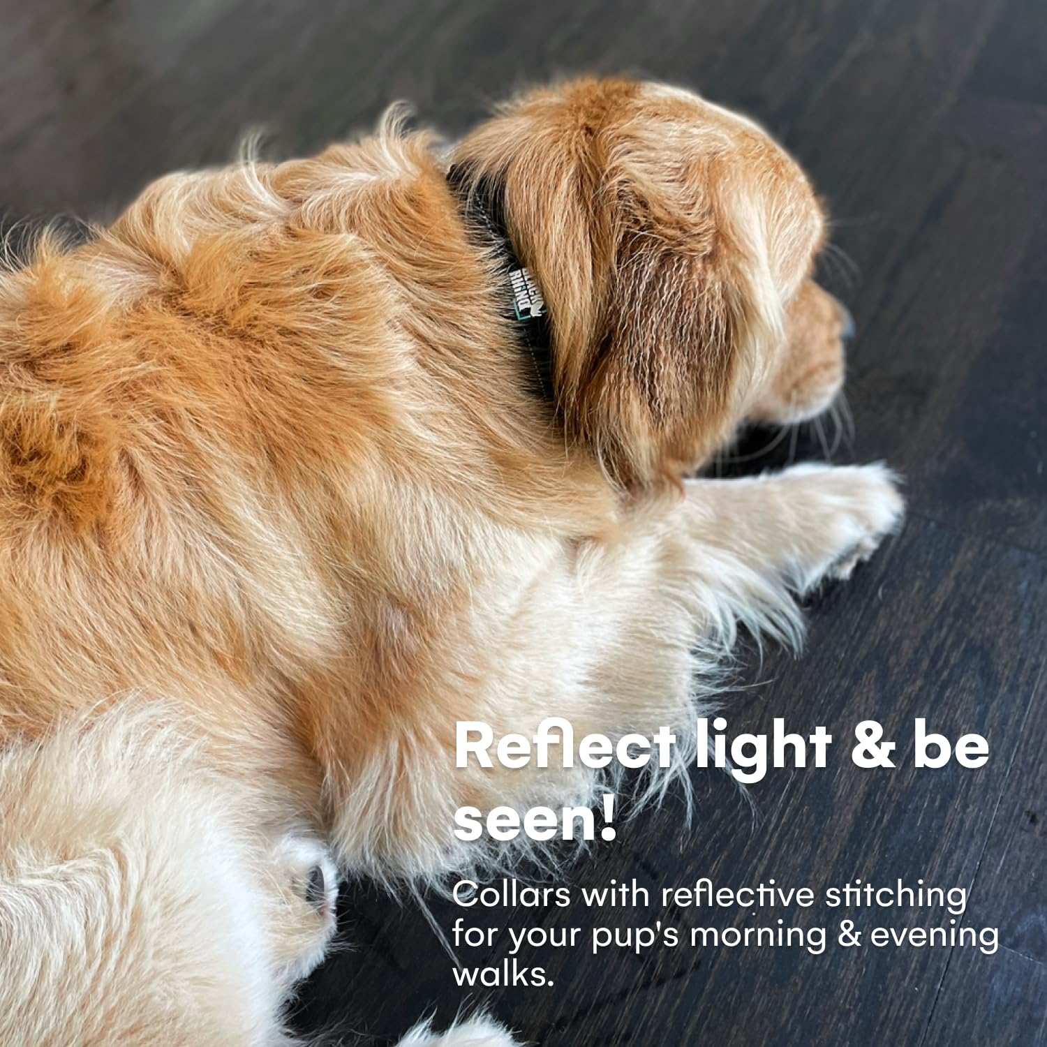 Black Rhino reflective stitching enhances visibility during evening or dawn walks.