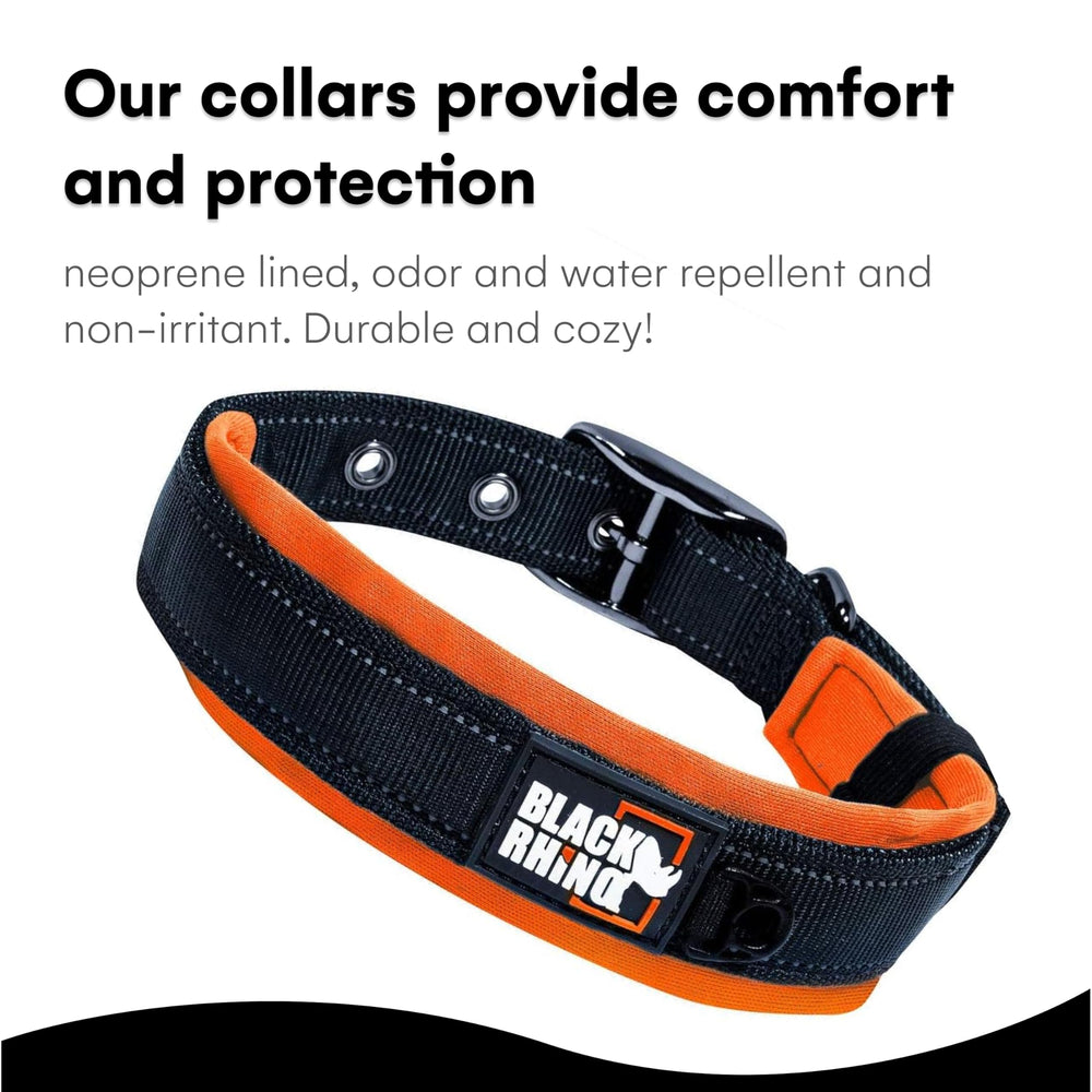 Black Rhino dog collar with reflective stitching improves visibility in low light.
