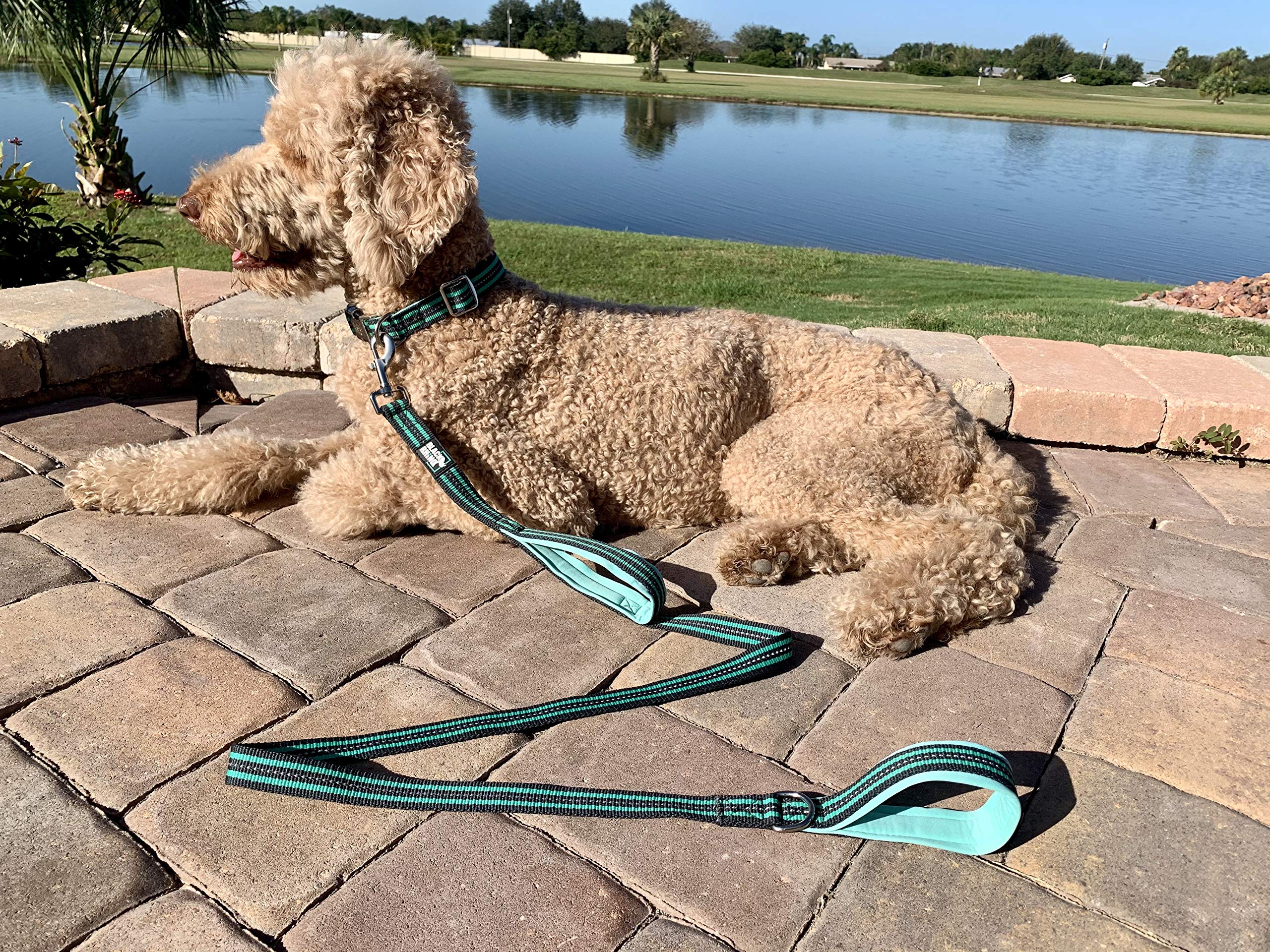Black Rhino weather-resistant leash demonstrates durable materials for year-round outdoor use