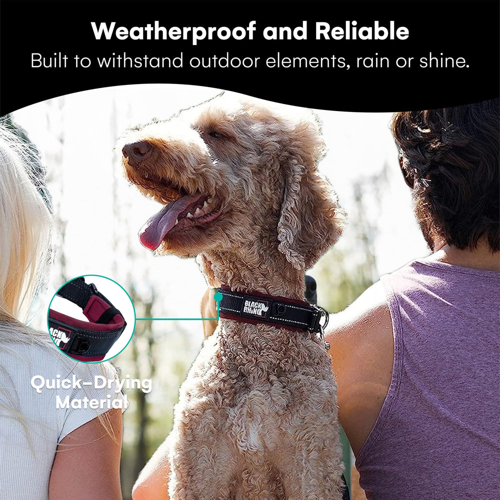 Black Rhino weatherproof collar stands up to all-weather adventures
