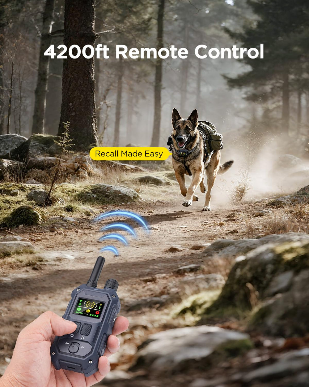 Blackdog IP67 waterproof dog collar withstands rain and splashes outdoors.