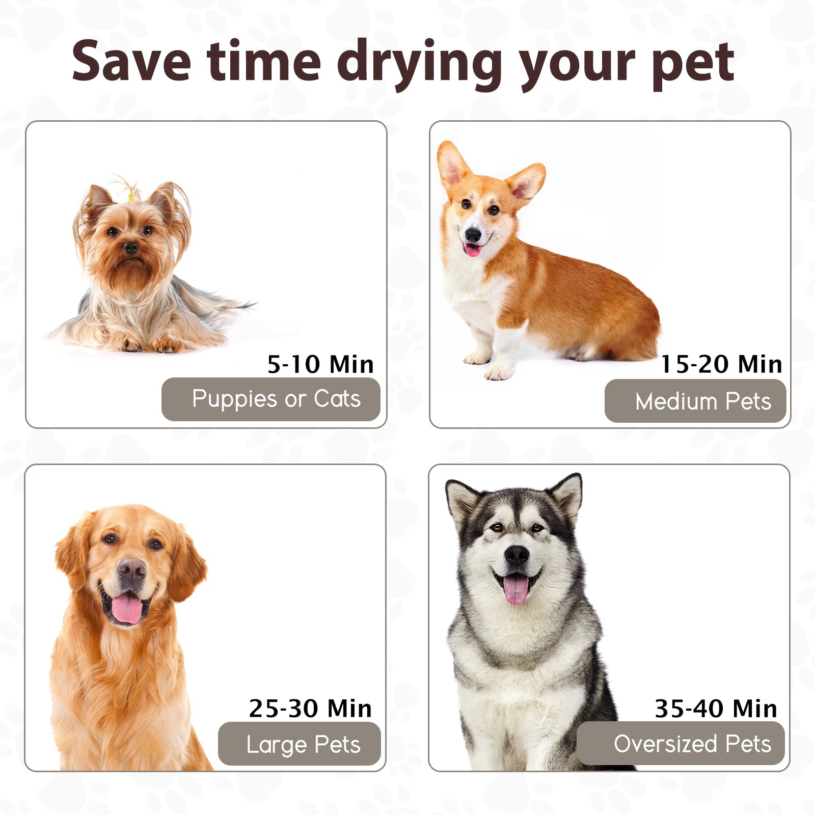 Blanlody dog dryer in use delivering fast, adjustable-dry performance
