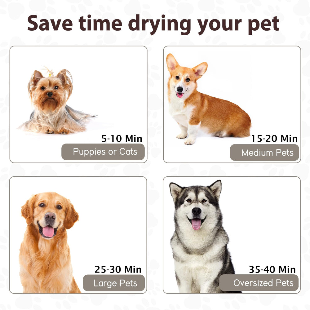 Blanlody dog dryer in use delivering fast, adjustable-dry performance