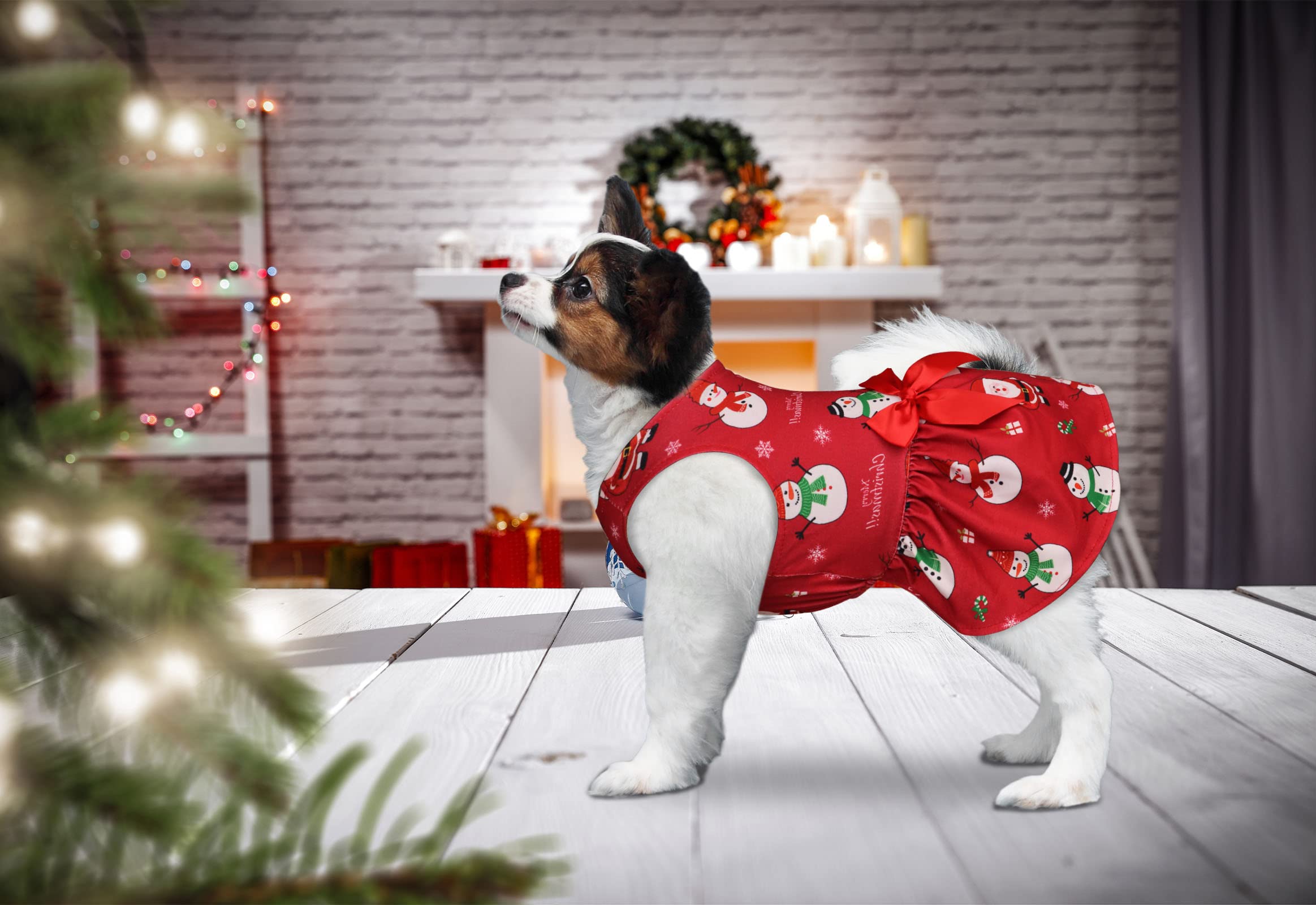 Blaoicni dog Christmas dress photo-ready finish helps capture memories during Christmas photoshoots.