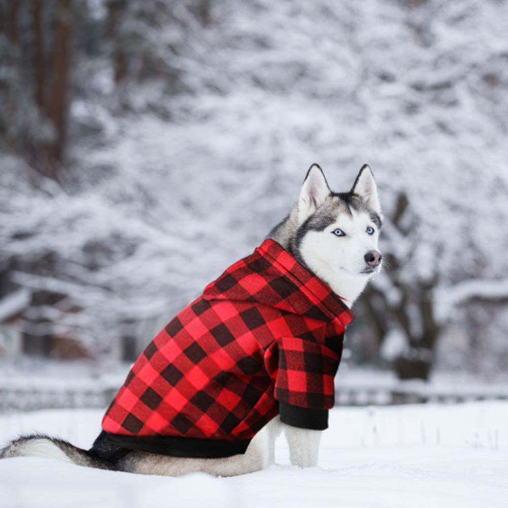 Blaoicni plaid dog hoodie worn outdoors in winter setting