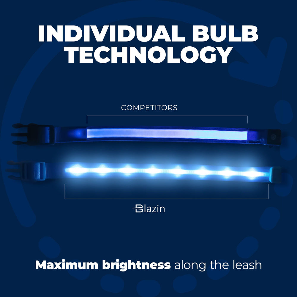 Blazin Light Up Dog Collar buckle closeup shows durable hardware and safety design.