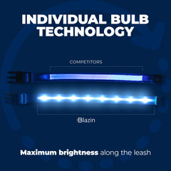 Blazin Light Up Dog Collar buckle closeup shows durable hardware and safety design.