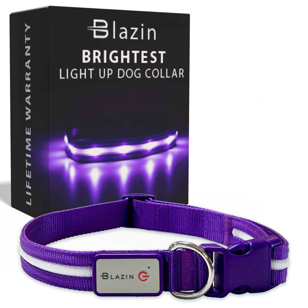 Blazin Light Up Dog Collar front view shows near 360 degree visibility for night safety.
