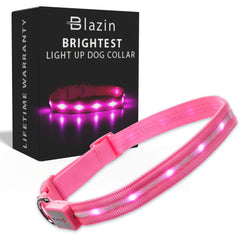 Blazin light up dog collar front view showing bright 360-degree visibility for night safety.