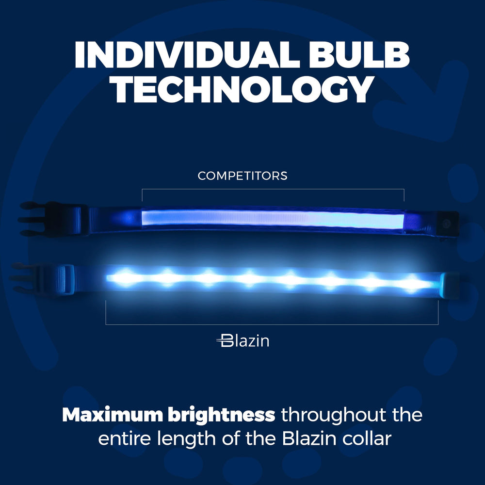 Blazin waterproof dog collar stands up to splashes and swimming adventures.