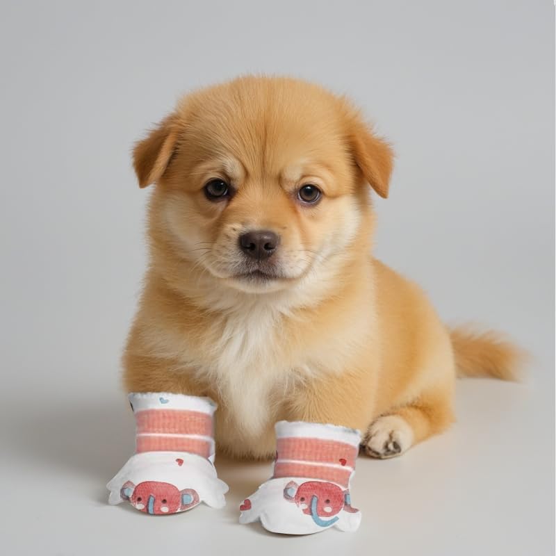 Blazury Infini all-weather paw shield keeps paws dry across seasons.