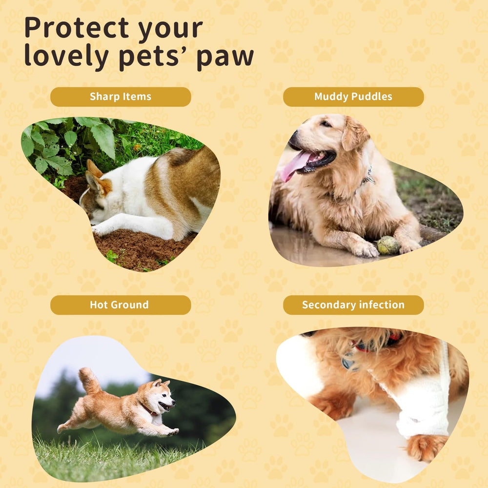 Blazury Infini paw protectors ideal for injured paws and post-surgery care.