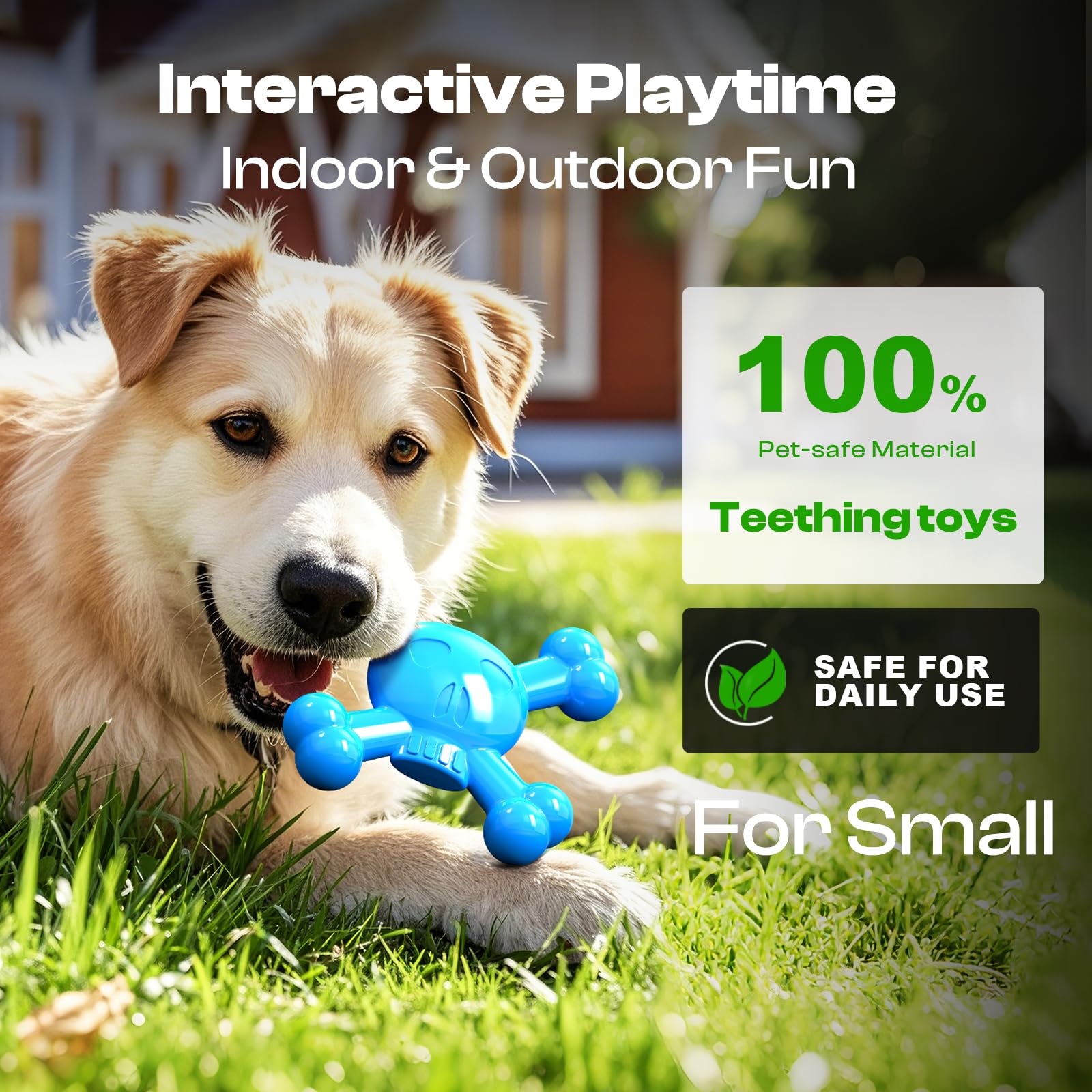 BLESQU non-toxic BPA-free design safe for small dogs during play