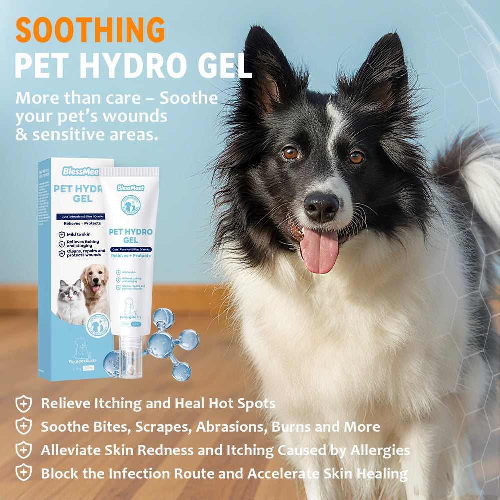 Blessmeet dog hot spot gel close-up applicator for precise dosing.