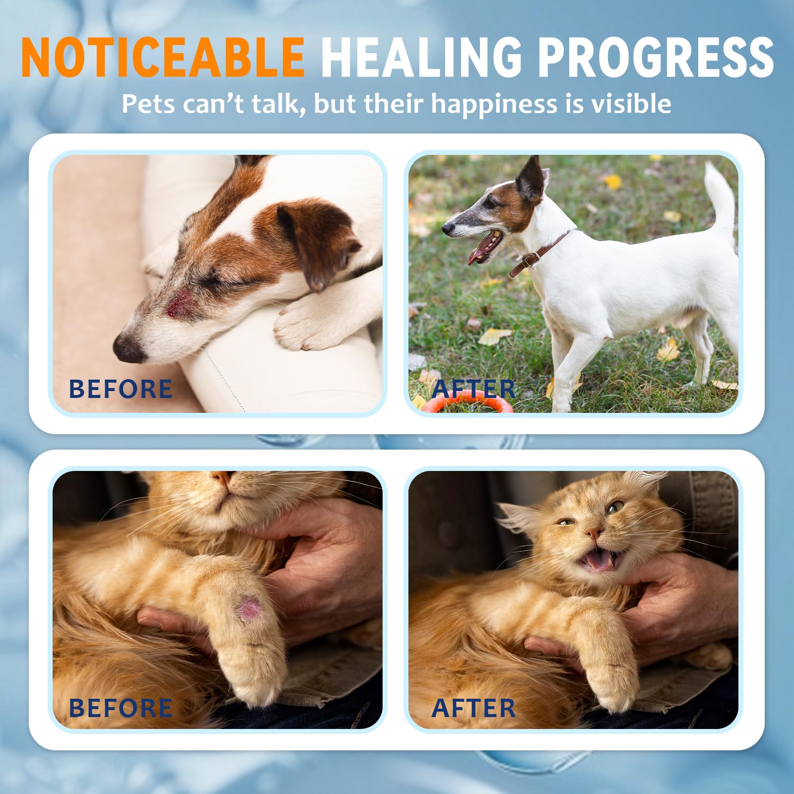 Blessmeet HOCl-based formula is safe if licked for pet-friendly care.