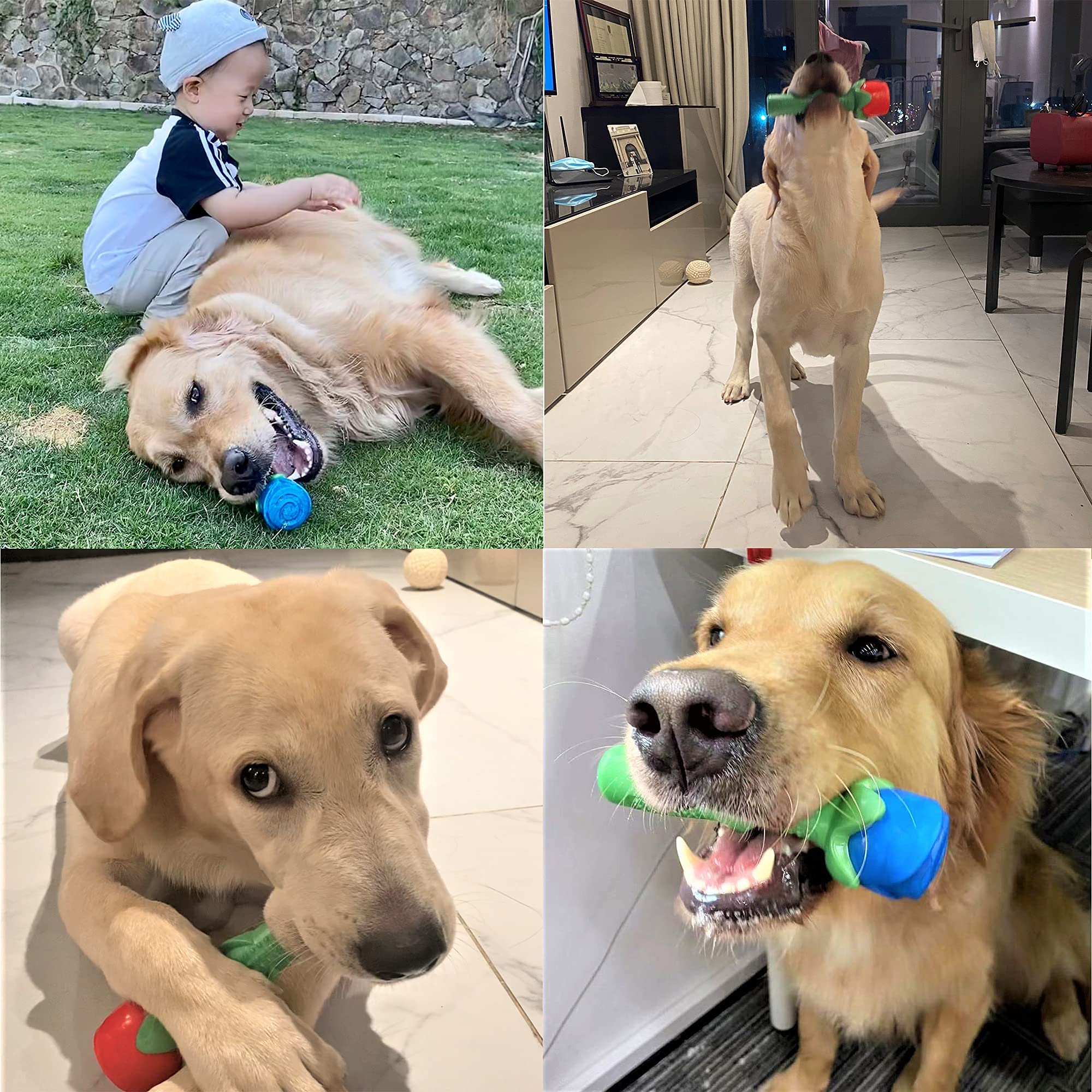 Blingbrione small-to-medium dog toy designed for puppies and growing teeth.