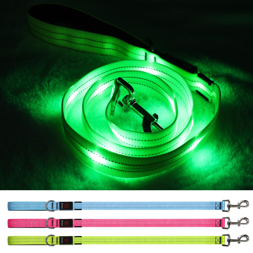 Blinlit LED leash in hand, 4 ft length for safer night walks.