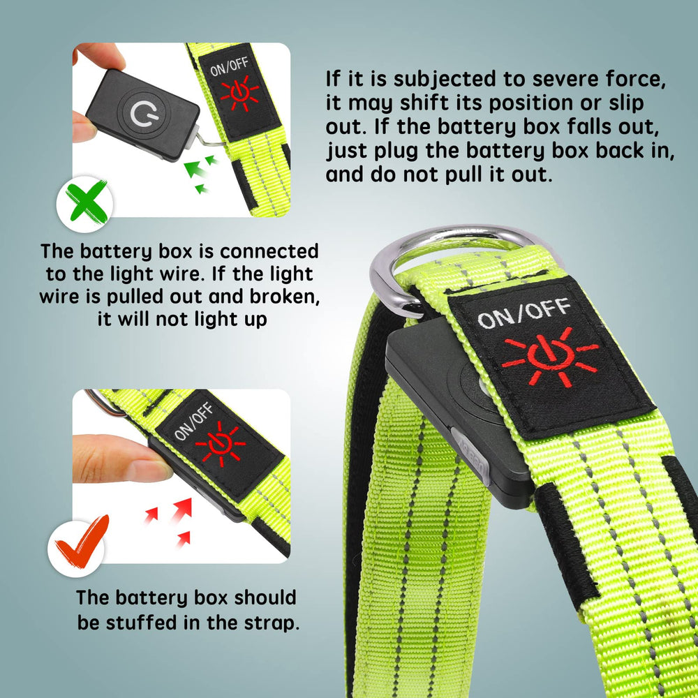 Blinlit LED leash in night walk scene enhances pet visibility.