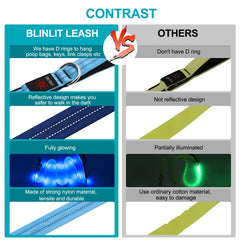 Blinlit LED leash reflective strips boost visibility during night walks.