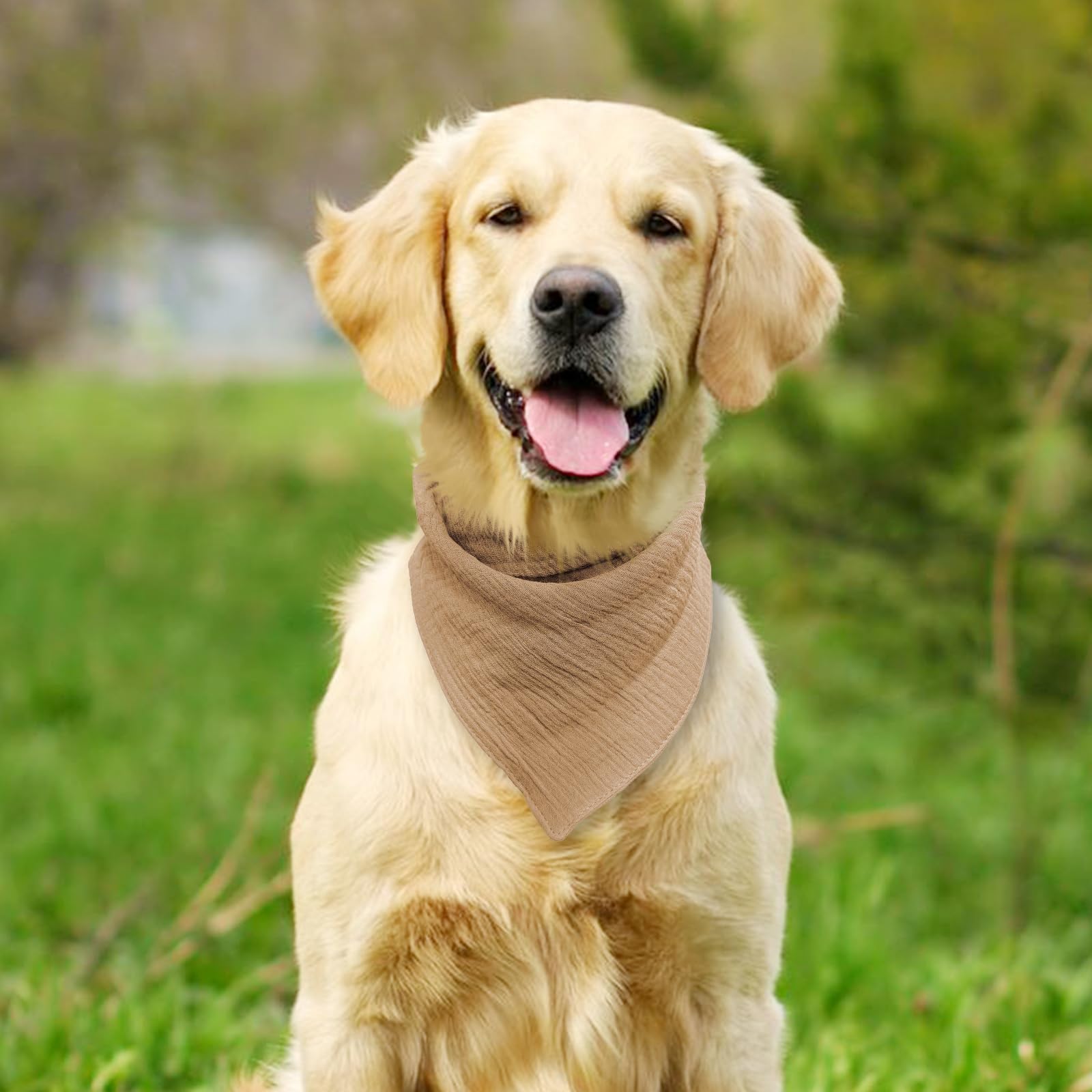 BlissBud solid color dog scarf cotton-texture detail emphasizes soft fabric