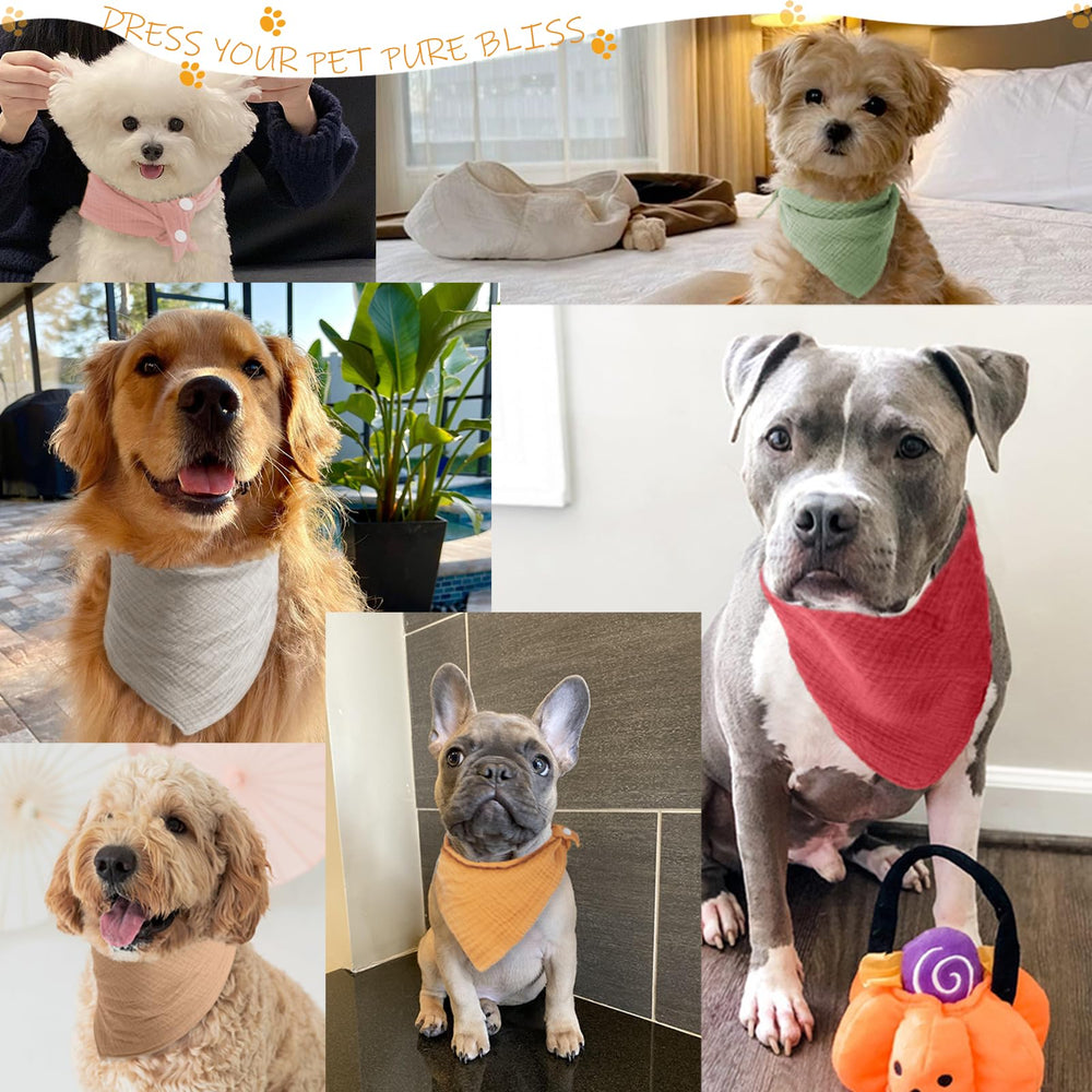 BlissBud solid color dog scarf worn by dog in sage coffee for everyday style