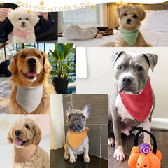BlissBud solid color dog scarf worn by dog in sage coffee for everyday style