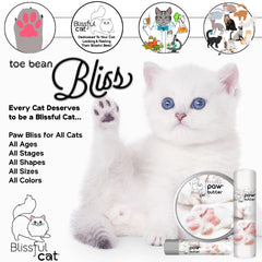 The Blissful Cat Paw Butter before-after showing softened paw pads