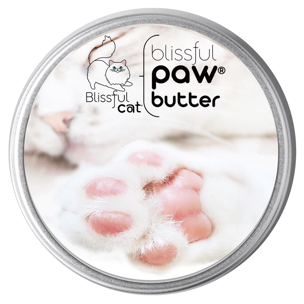The Blissful Cat Paw Butter close-up on balm tube for quick relief