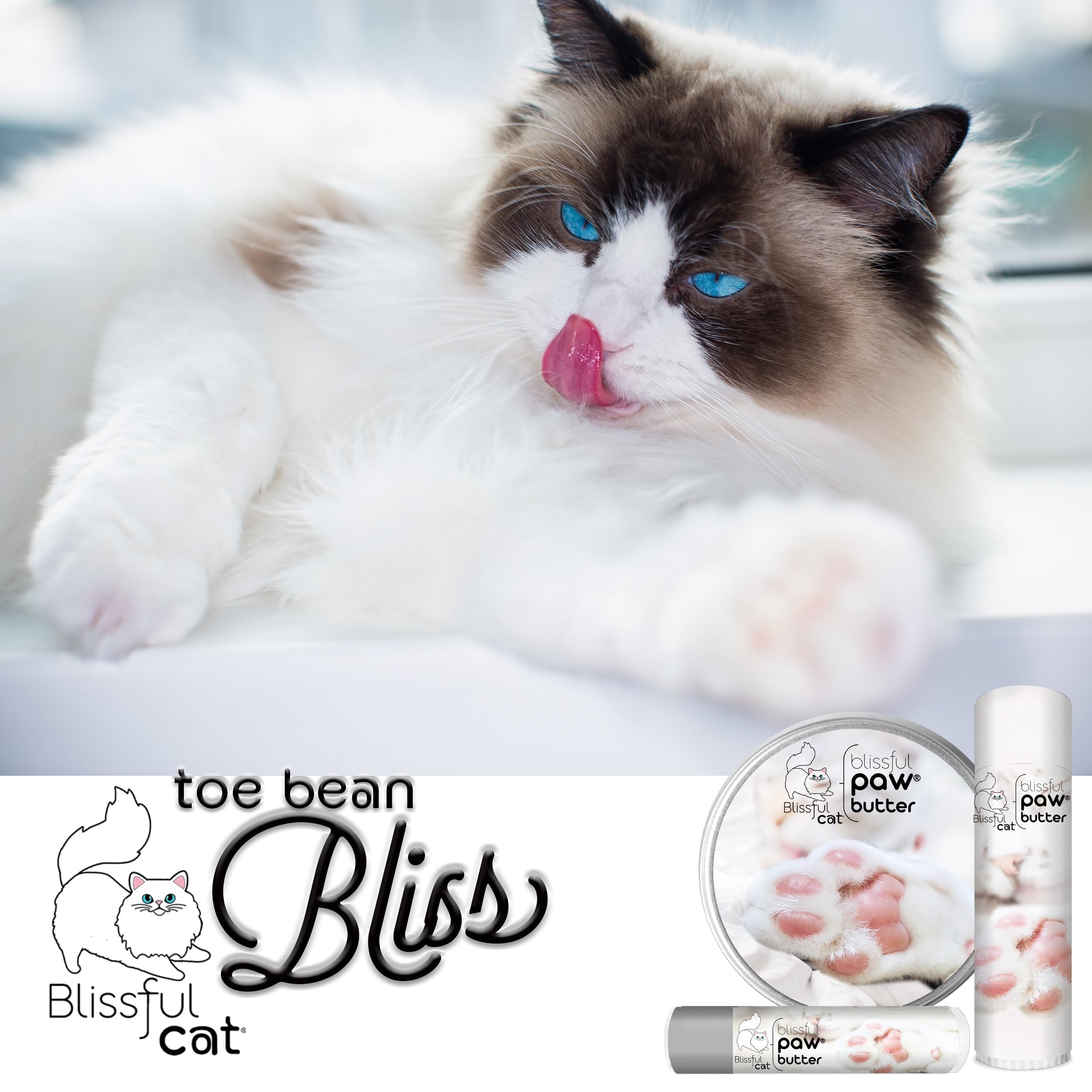 The Blissful Cat Paw Butter cream texture ready for quick dab