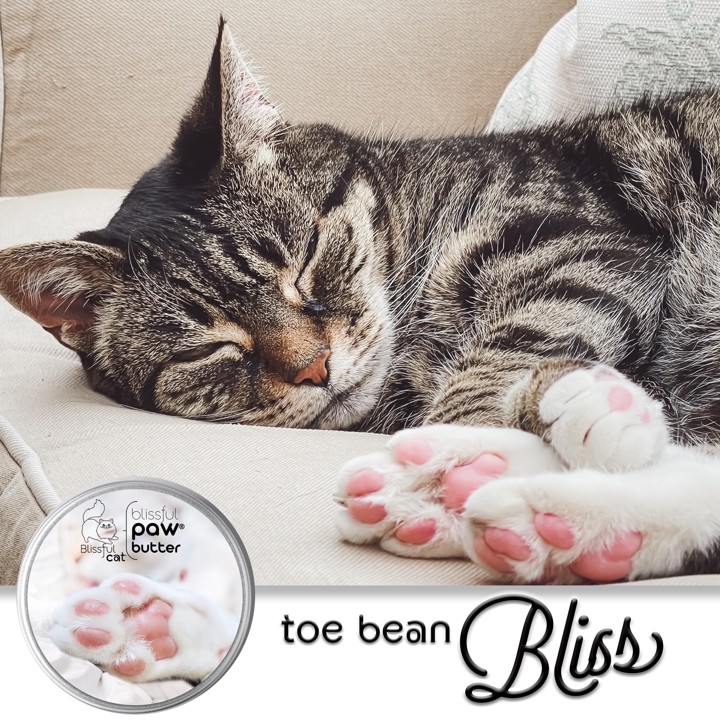 The Blissful Cat Paw Butter in a cozy home setting for daily paw care