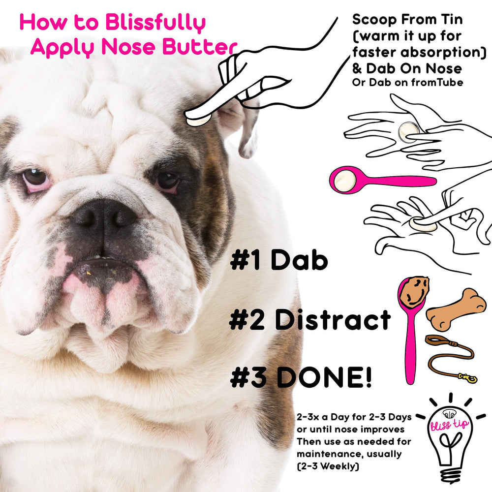 The Blissful Dog Nose Butter handcrafted in USA for gentle nose care.