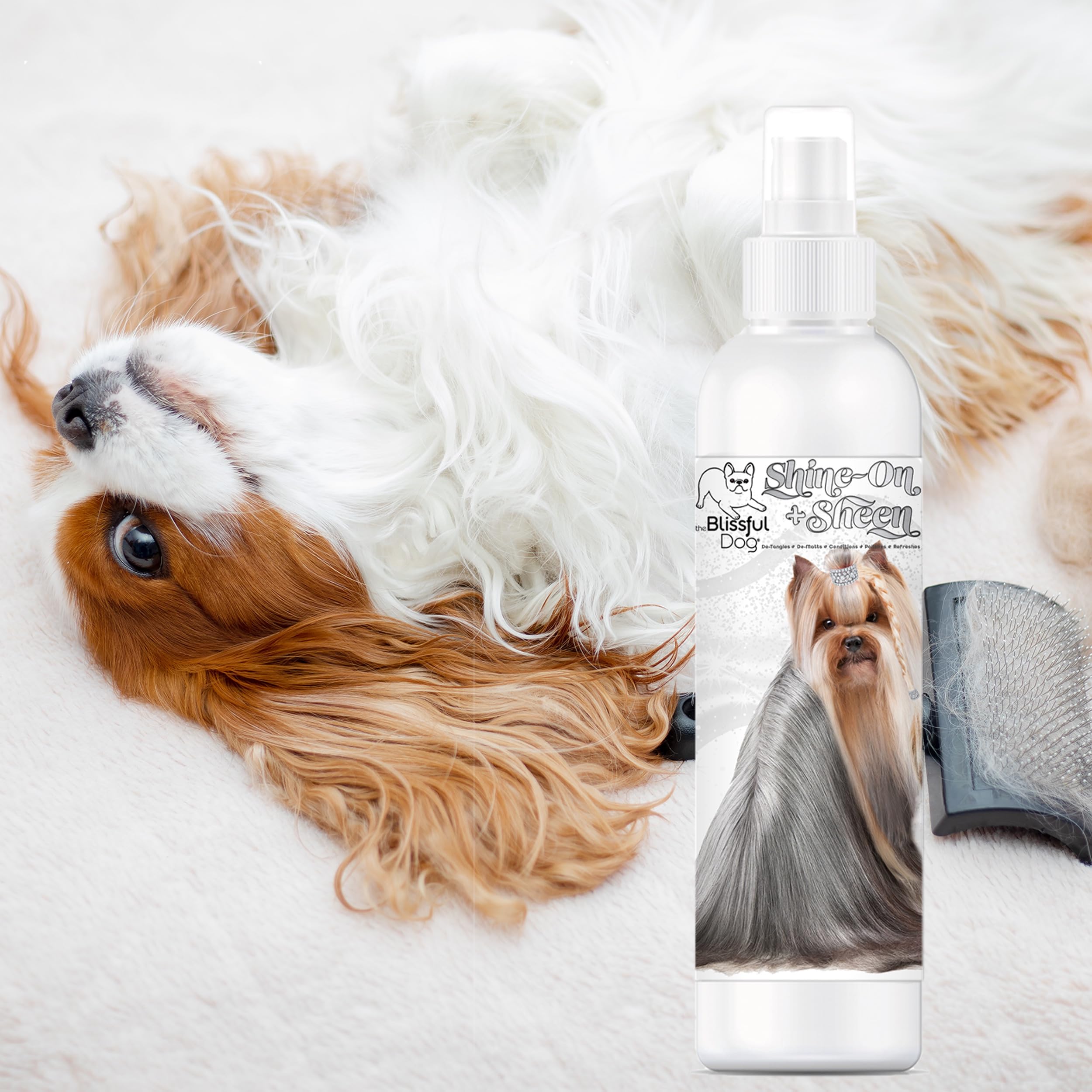 The Blissful Dog Shine-On + Sheen ingredients label highlights nourishing botanicals