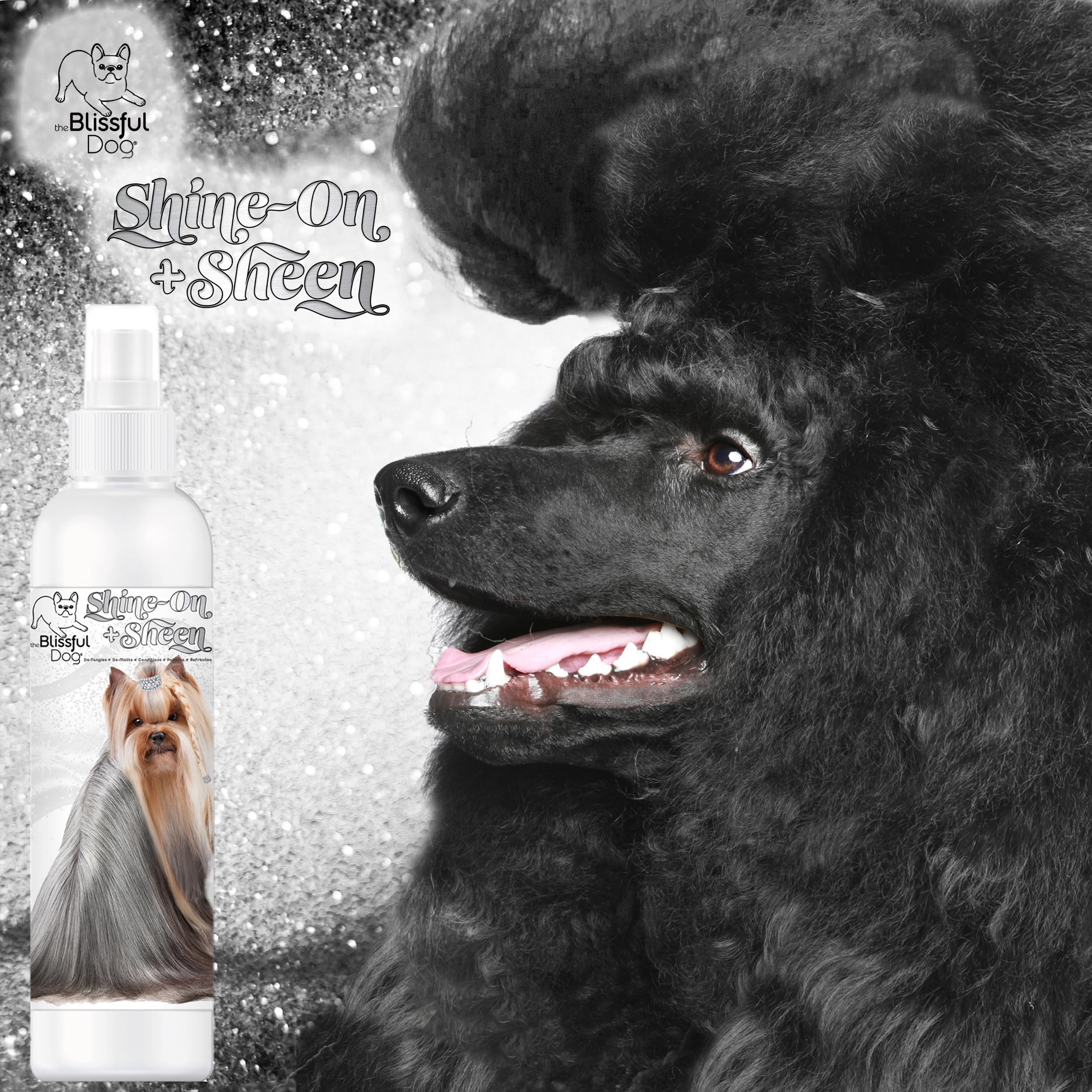 The Blissful Dog Shine-On + Sheen soft coat gleam after use