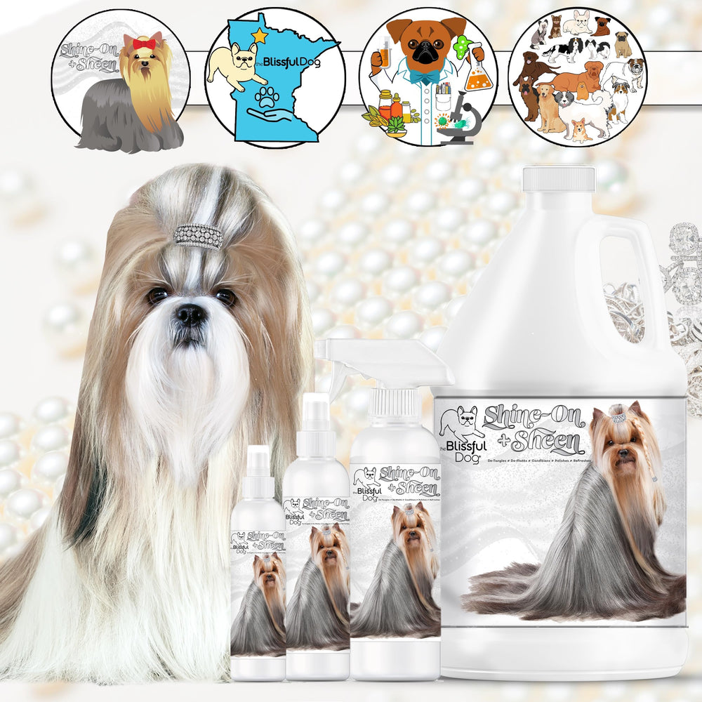The Blissful Dog Shine-On + Sheen spray application for detangling before brushing