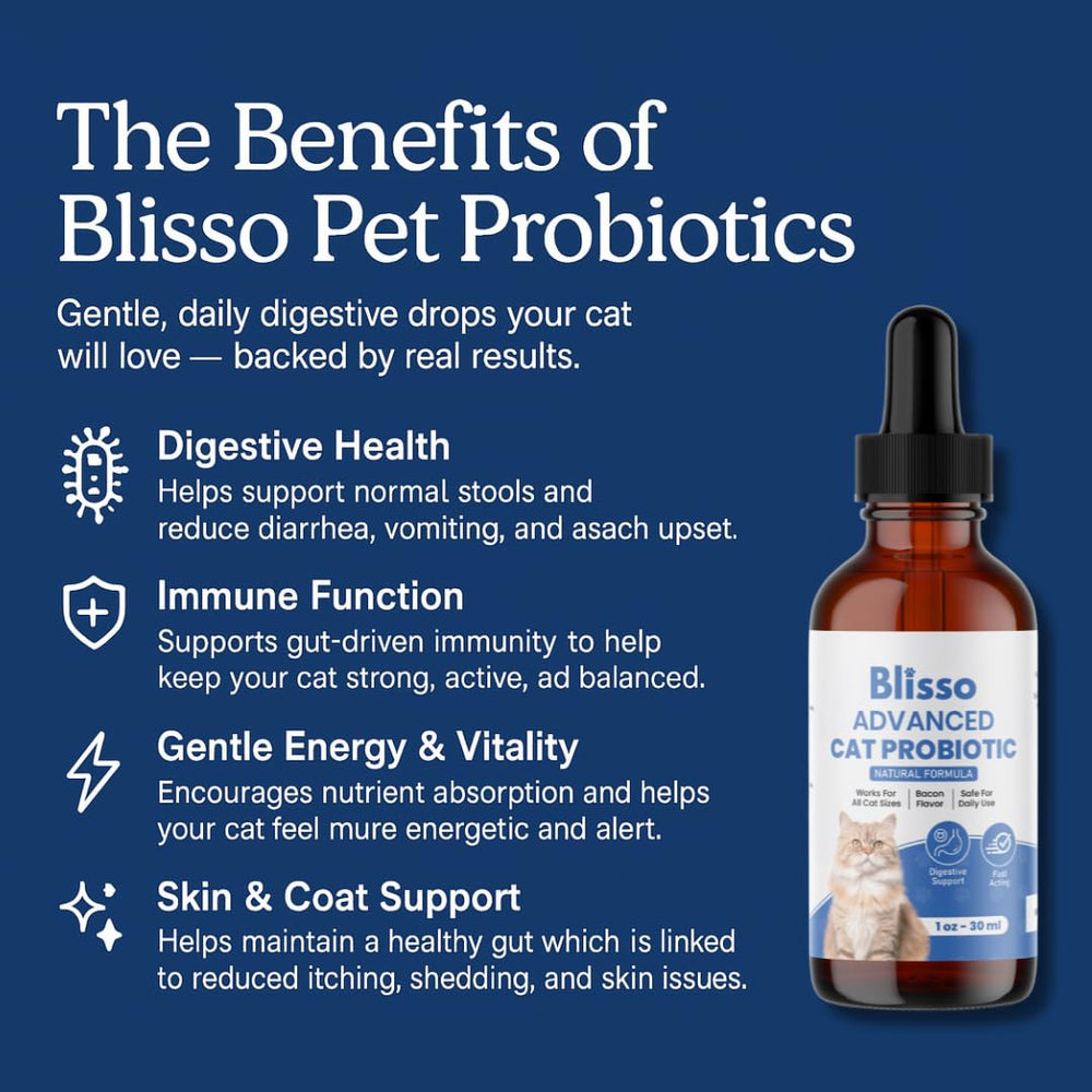 Blisso probiotic drops being dispensed for daily cat gut health routine