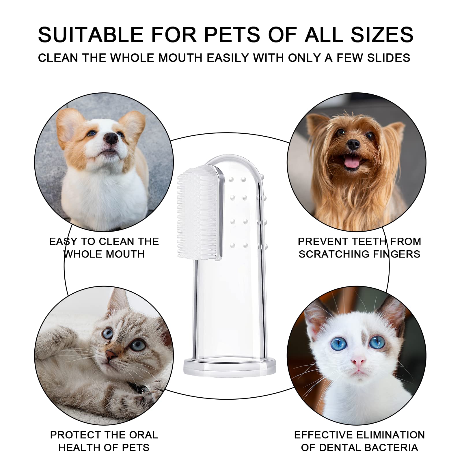BLMHTWO pet dental care scene highlights stress-free, routine brushing with silicone toothbrush.