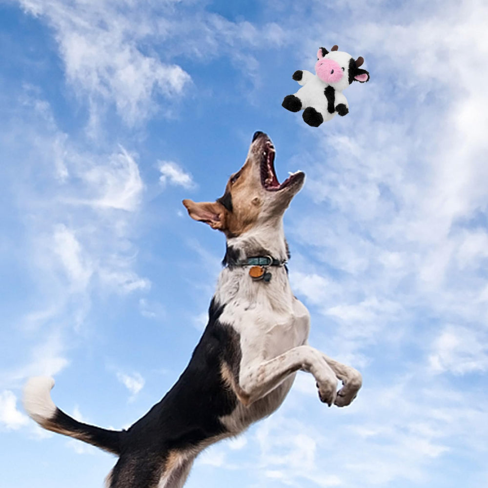 Blnboimrun cow toy teething and gum-massage focus for dogs